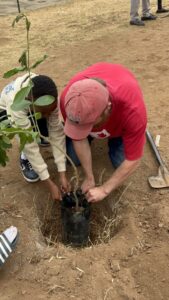 Mac Plants Tree with a student