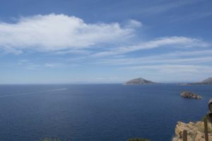 Day 5: brauron and sounio beach! - figure-6a.jpeg-300x200.jpg image #10